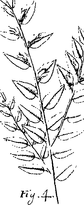 110/110220030200190_0.png