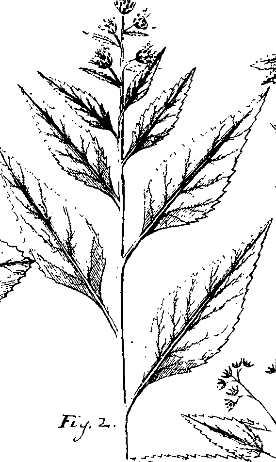 110/110220030200200_0.png