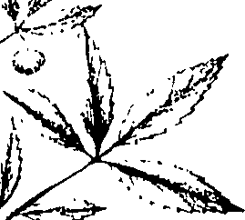 110/110220030200210_0.png