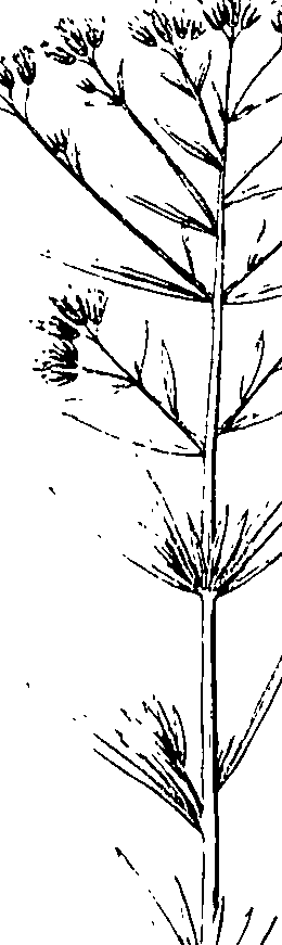 110/110220030200210_1.png