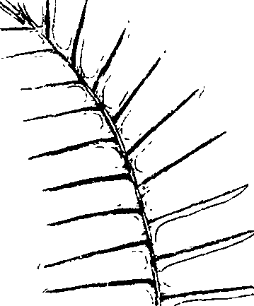 110/110220030200220_1.png
