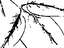 110/110220030200230_0.png