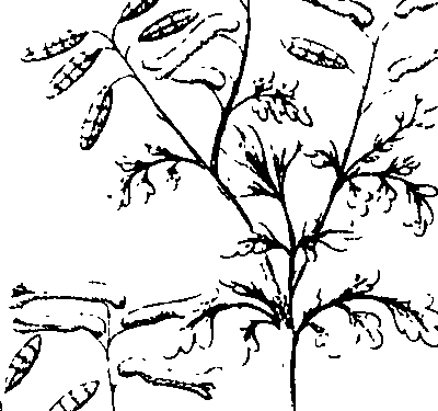 110/110220030200230_2.png