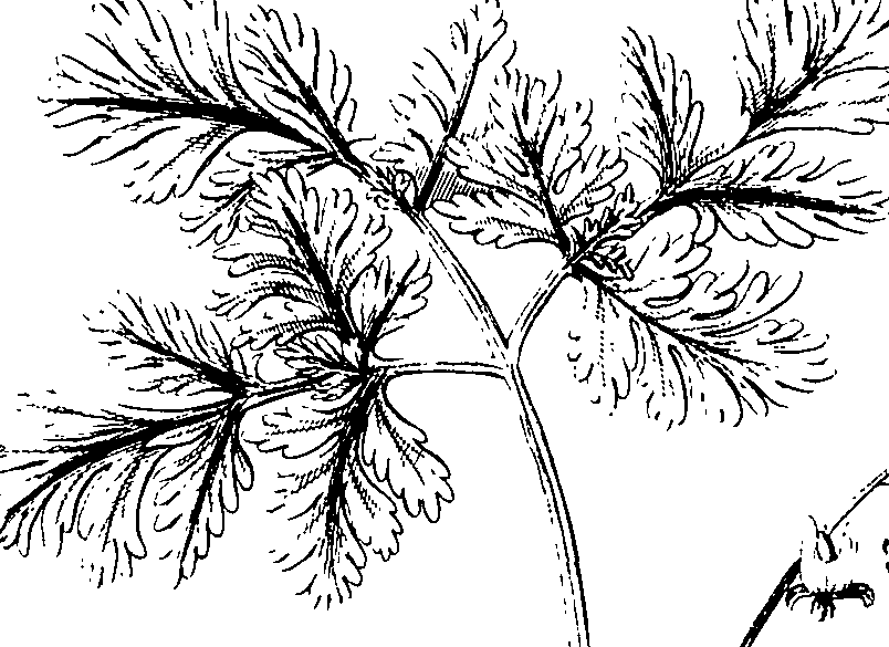 110/110220030200230_3.png