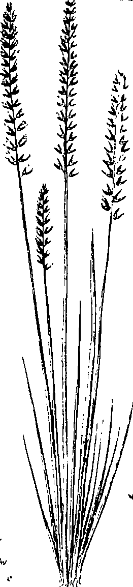 110/110220030200250_0.png