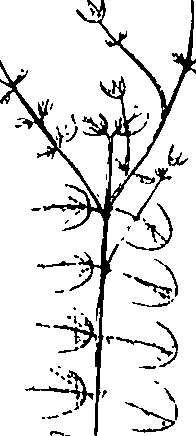 110/110220030200260_0.png