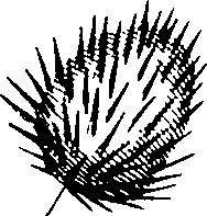 110/110220030200270_1.png
