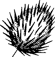 110/110220030200280_0.png