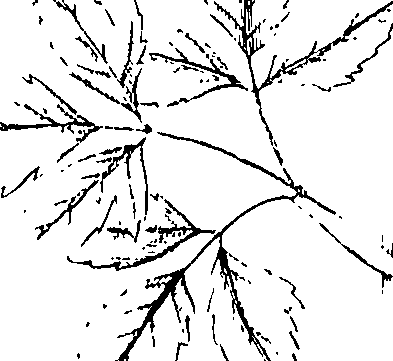110/110220030200300_0.png