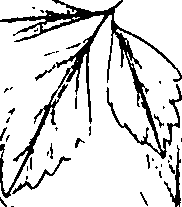 110/110220030200300_1.png