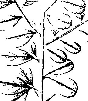 110/110220030200300_2.png
