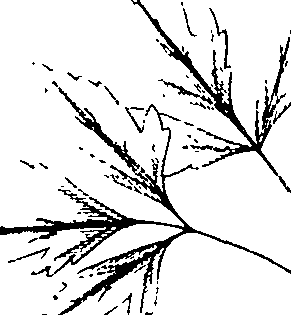 110/110220030200300_3.png