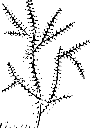 110/110220030200320_0.png