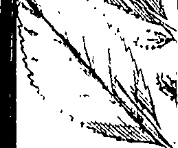 110/110220030200330_0.png