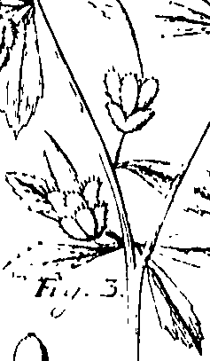 110/110220030200330_1.png
