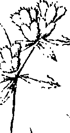 110/110220030200330_2.png