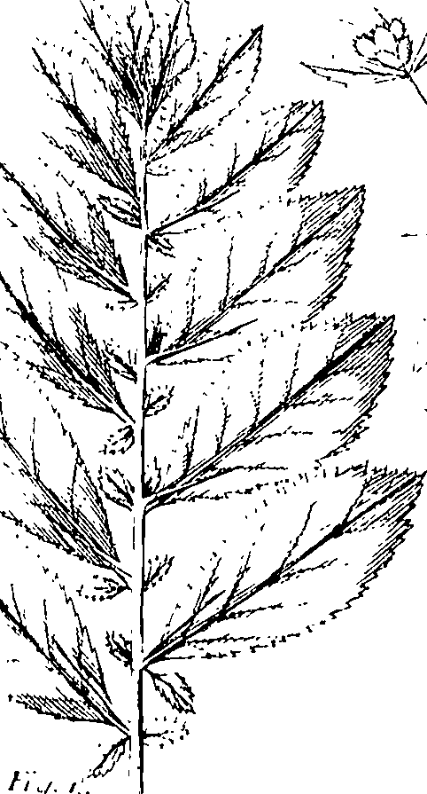 110/110220030200330_3.png