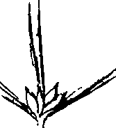 110/110220030200330_4.png