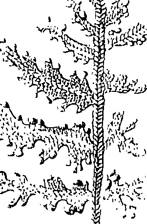 110/110220030200340_0.png