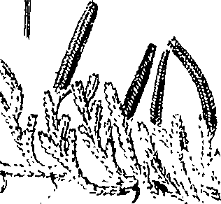 110/110220030200340_2.png