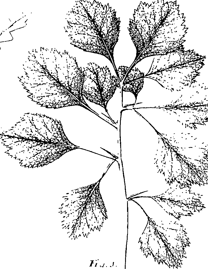 110/110220030200340_3.png