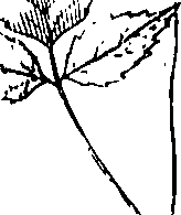 110/110220030200350_0.png