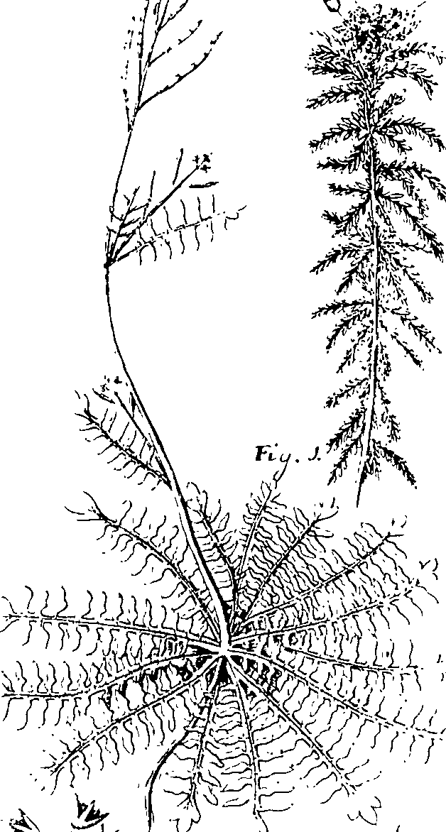 110/110220030200350_1.png