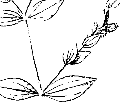 110/110220030200360_0.png