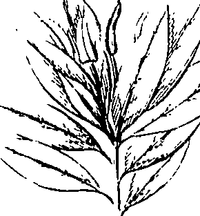 110/110220030200370_0.png