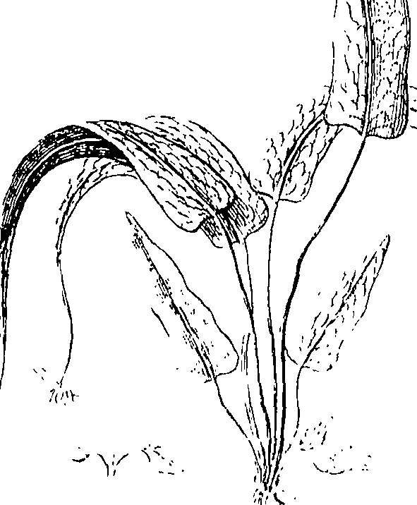 110/110220030200390_0.png