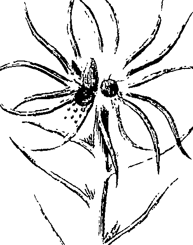 110/110220030200390_1.png