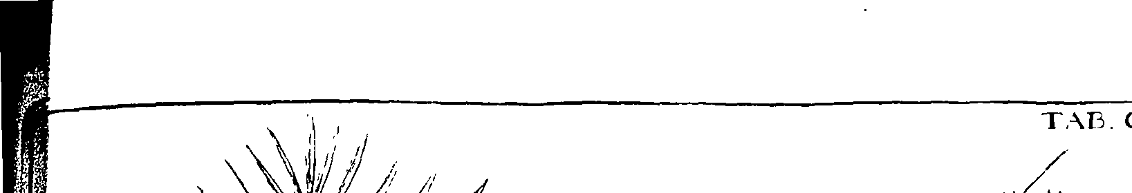 110/110220030200400_0.png
