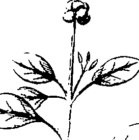110/110220030200410_0.png