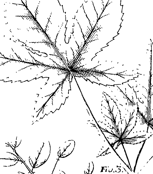 110/110220030200420_1.png