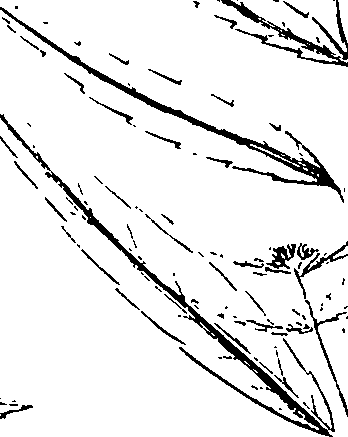 110/110220030200430_1.png