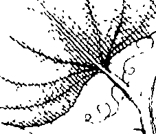 110/110220030200440_0.png