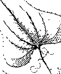110/110220030200440_1.png