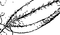 110/110220030200440_3.png
