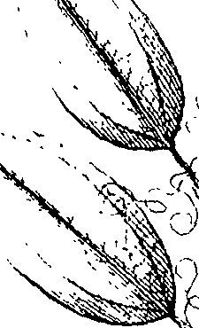 110/110220030200440_4.png