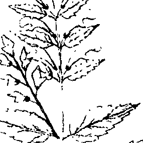 110/110220030200440_5.png