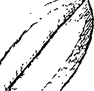 110/110220030200440_6.png