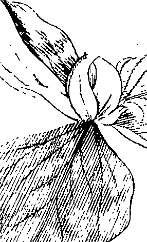 110/110220030200450_1.png