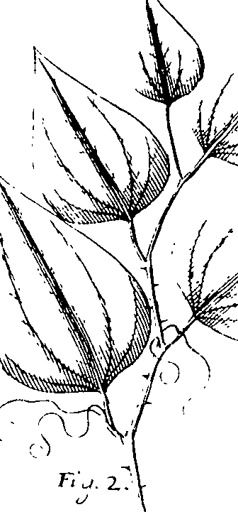 110/110220030200450_2.png
