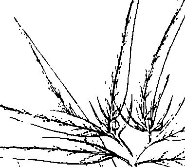 110/110220030200460_1.png