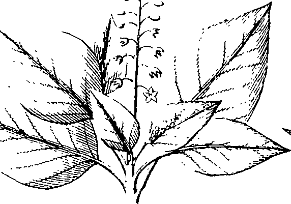 110/110220030200460_2.png