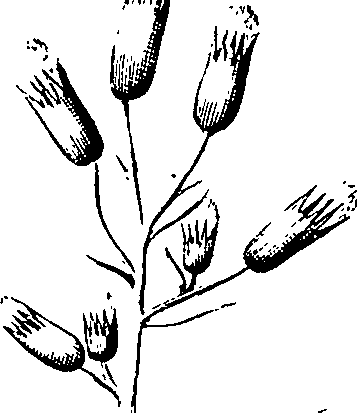 110/110220030200460_3.png