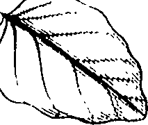 110/110220030200470_0.png