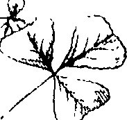 110/110220030200470_2.png