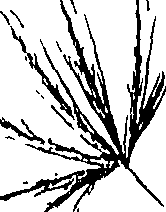 110/110220030200480_0.png