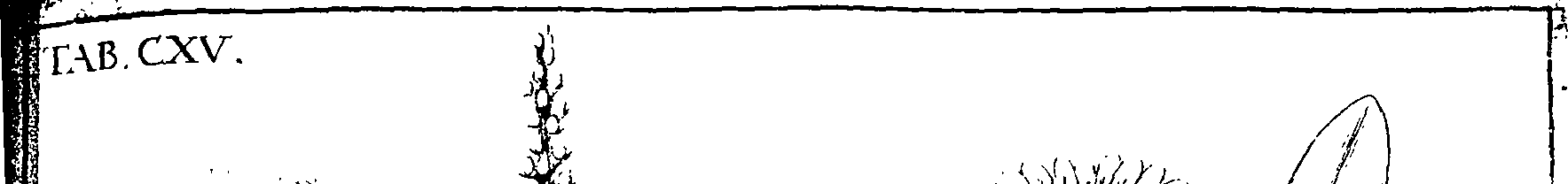 110/110220030200490_1.png